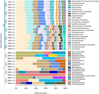 Spatial co-occurrence patterns of benthic microbial assemblage in response to trace metals in the Atacama Desert Coastline